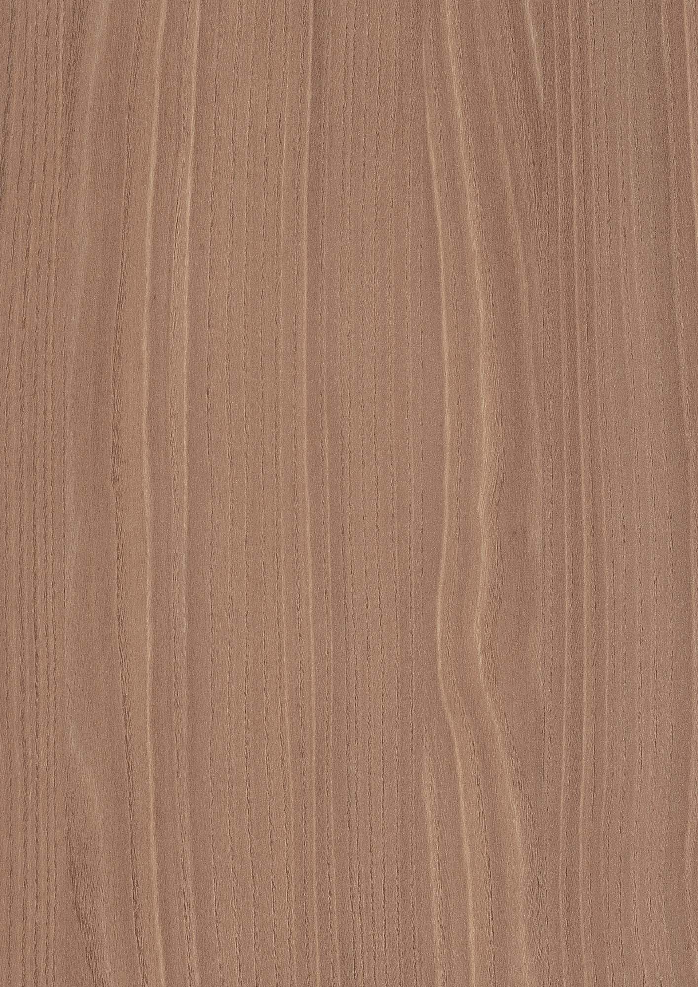Natural Bolivar Wood — H3786 ST19