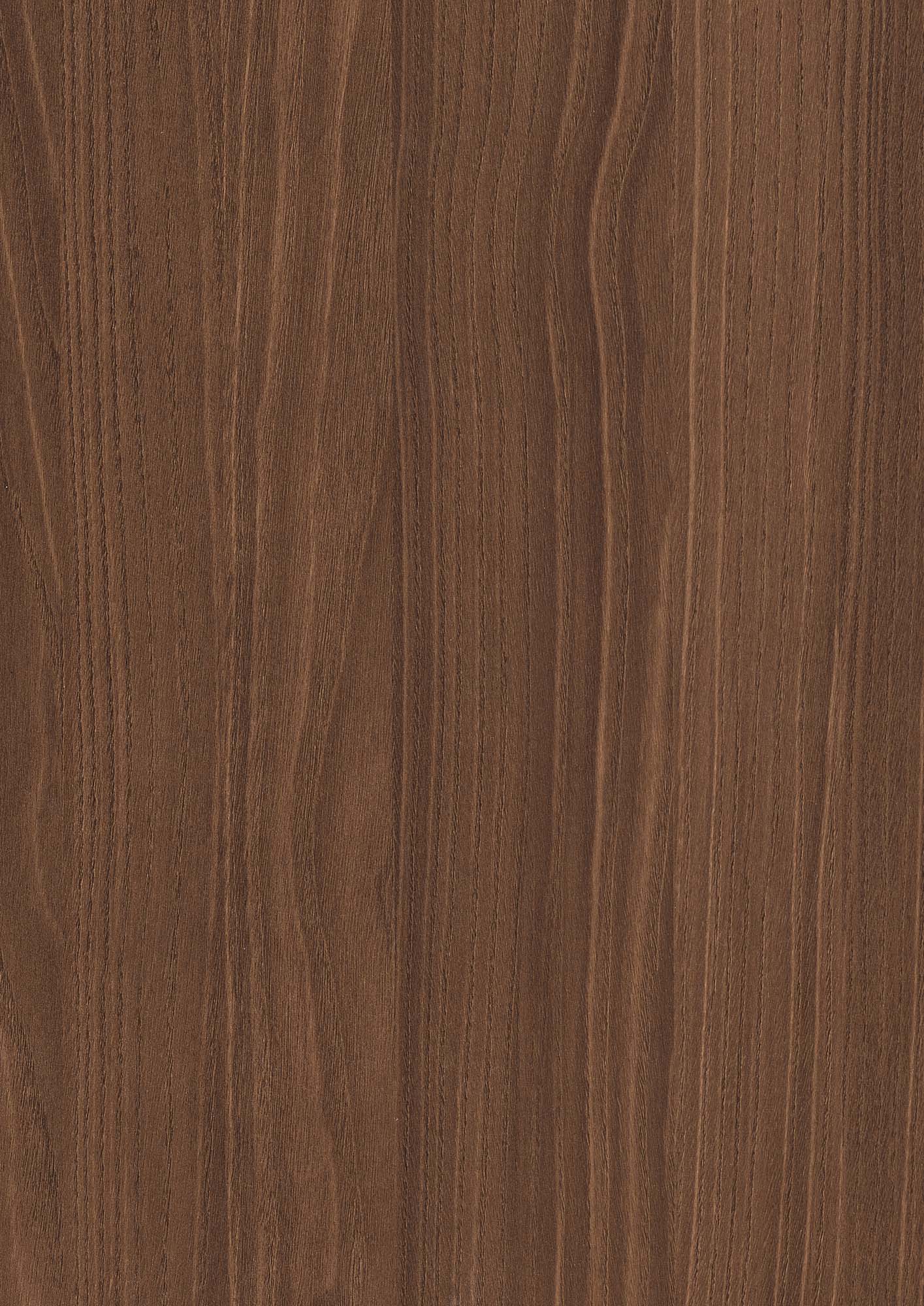 Brown Bolivar — H3787 ST19